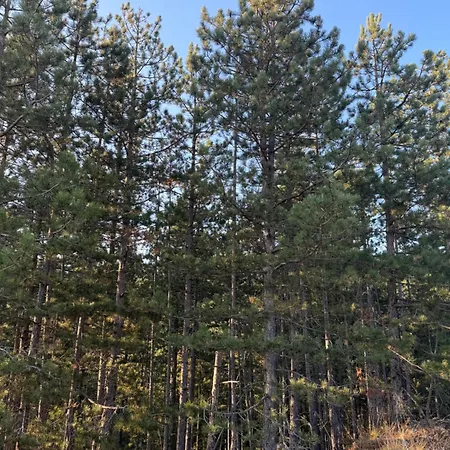 Gorske - Ljubav, Vera I Nada